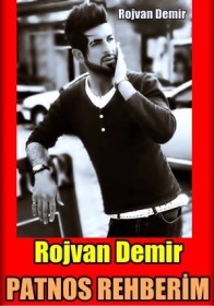 rojvan-demir4